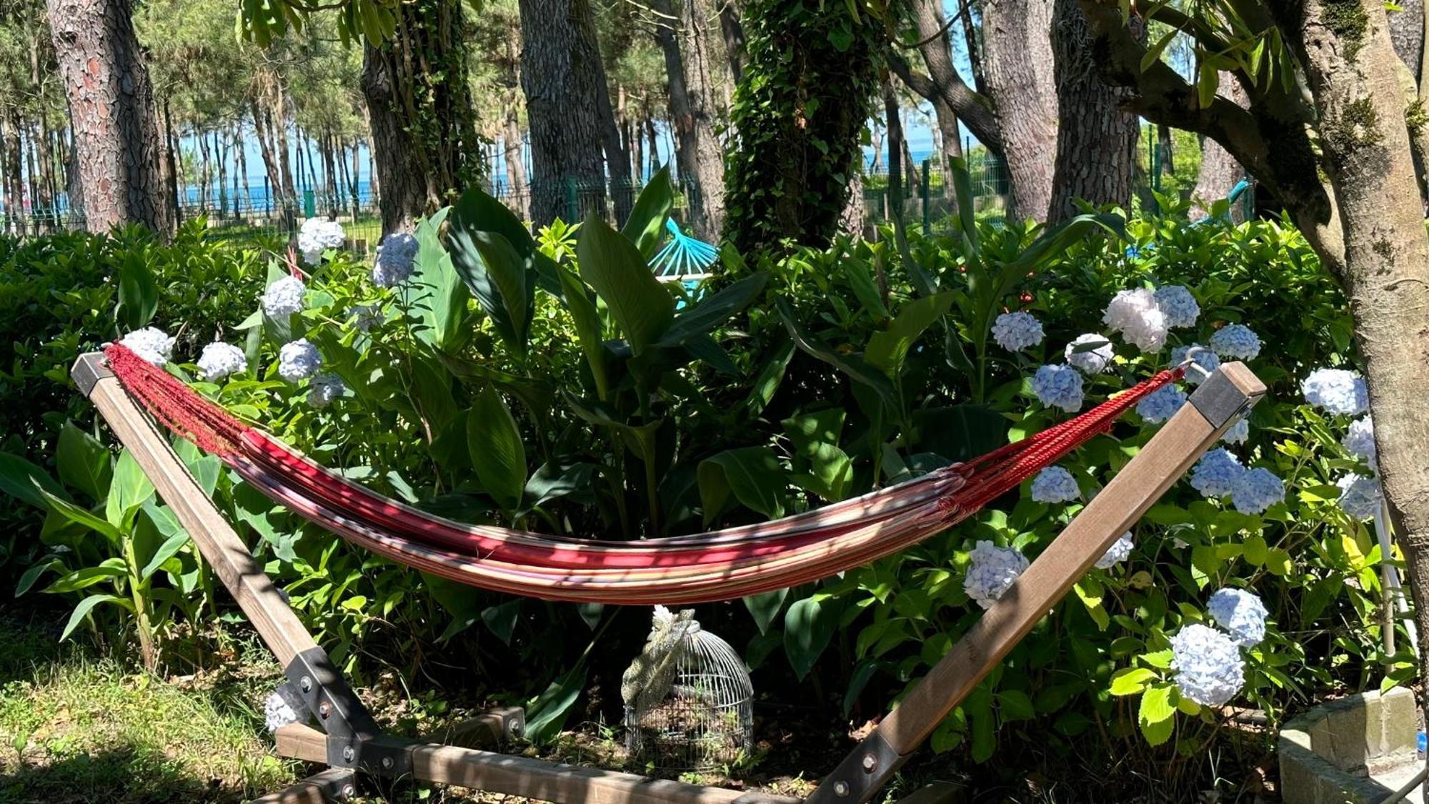 Iveria Elli Hotel Shekhvetili Buitenkant foto