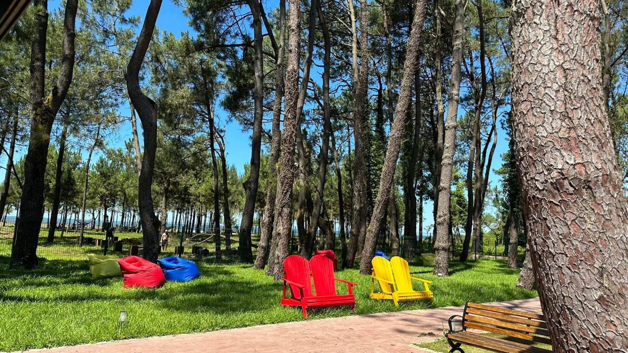 Iveria Elli Hotel Shekhvetili Buitenkant foto