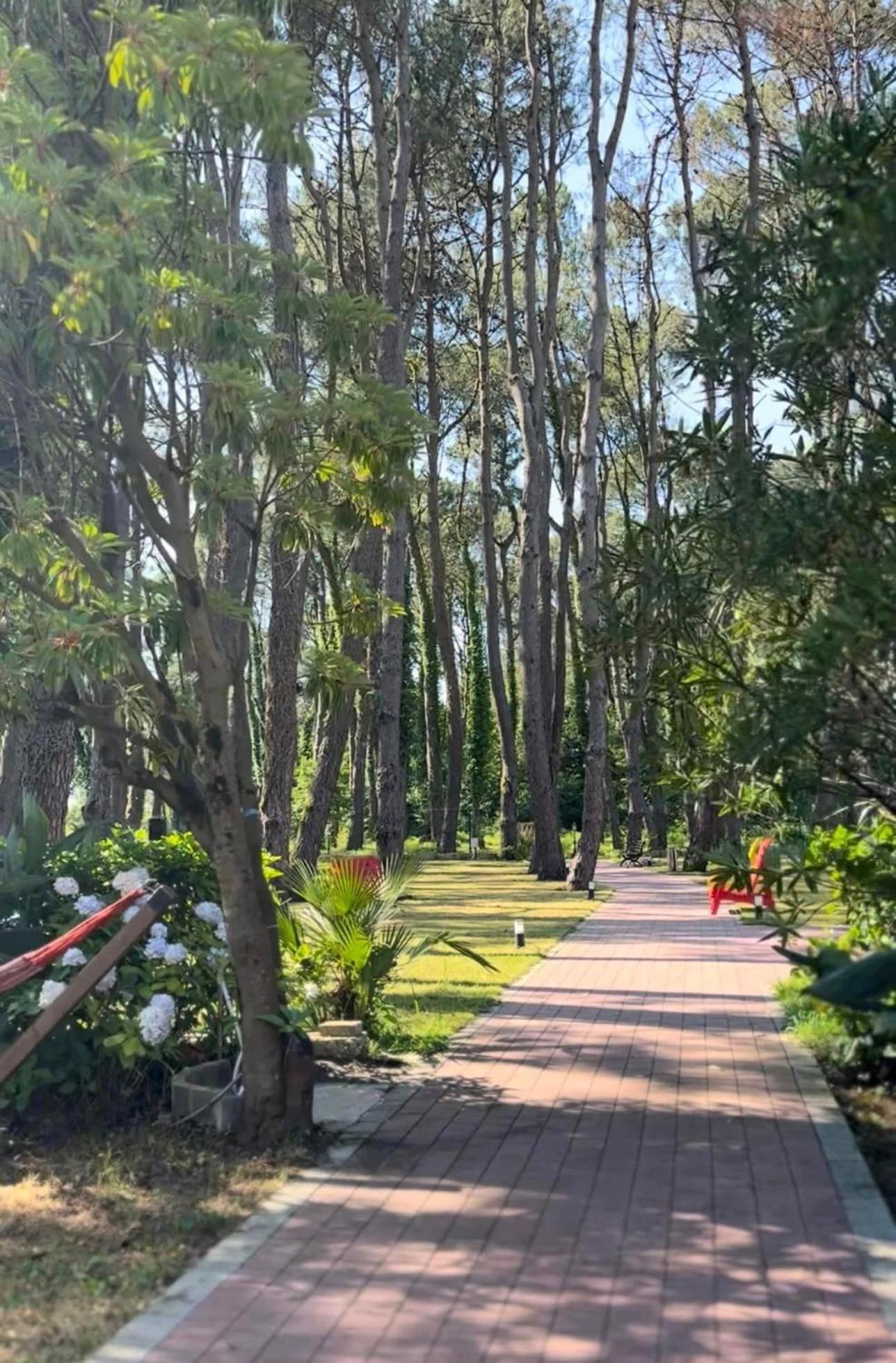 Iveria Elli Hotel Shekhvetili Buitenkant foto